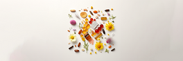Erth Wellness Review: Are Mushroom Gummies Healthy?