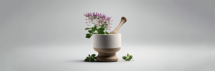 Herbs for Weight Loss | Three Research-Backed Options